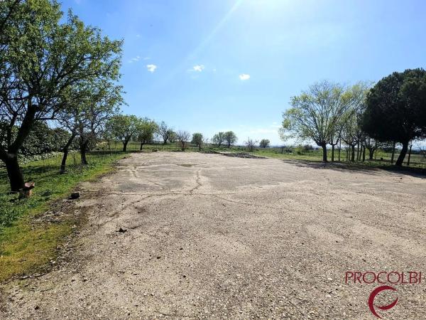 Terreno en camino de Carboneros