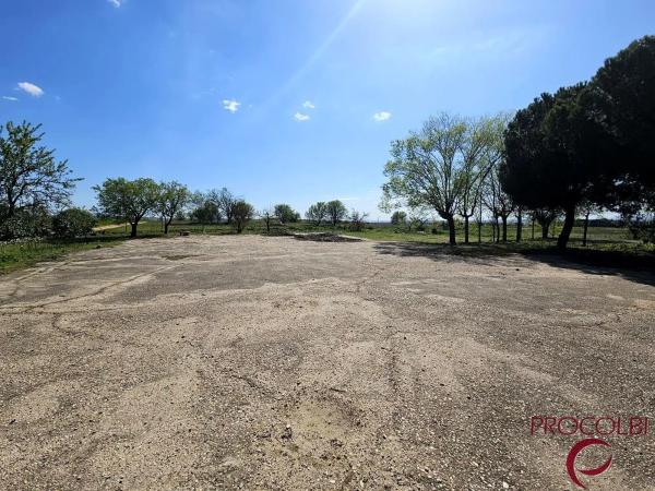 Terreno en camino de Carboneros