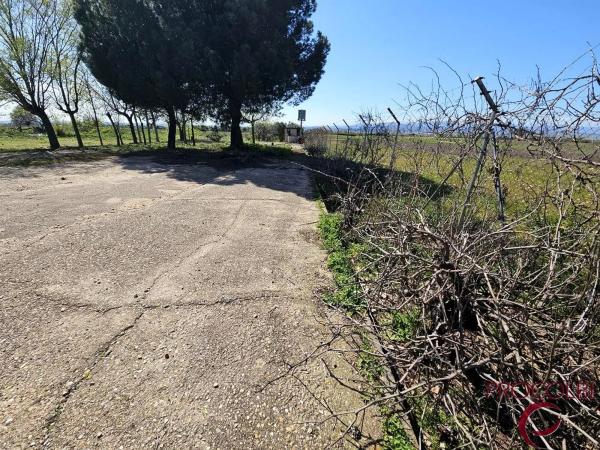 Terreno en camino de Carboneros