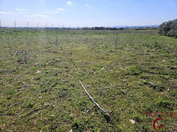 Terreno en camino de Carboneros