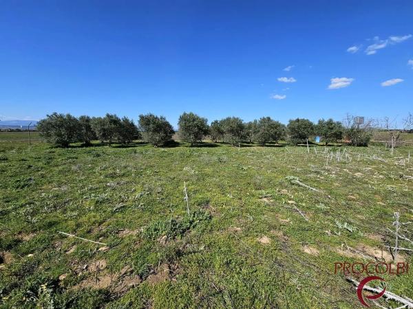 Terreno en camino de Carboneros