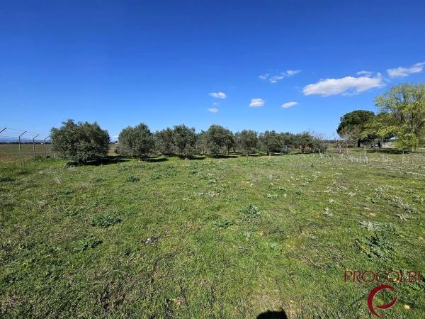 Terreno en camino de Carboneros