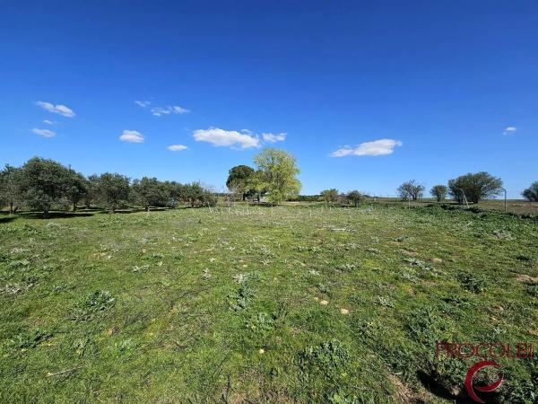 Terreno en camino de Carboneros