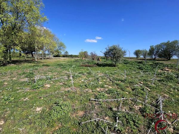 Terreno en camino de Carboneros