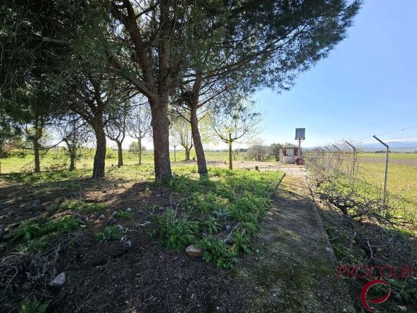 Terreno en camino de Carboneros