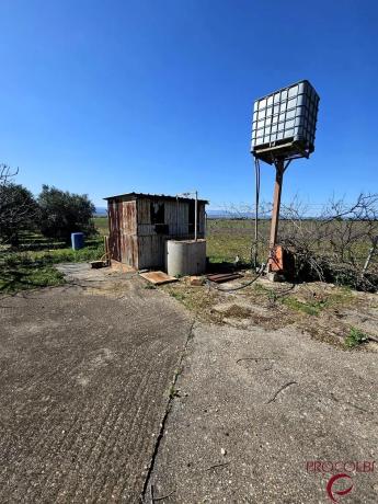 Terreno en camino de Carboneros