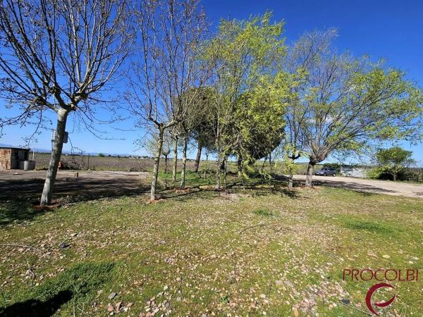 Terreno en camino de Carboneros