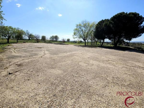 Terreno en camino de Carboneros