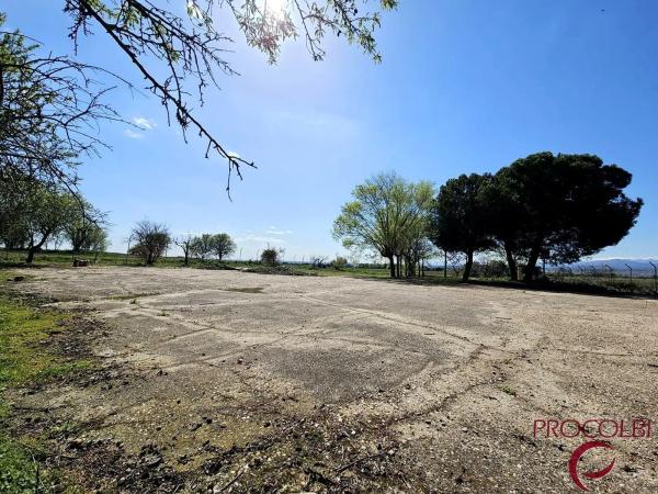 Terreno en camino de Carboneros