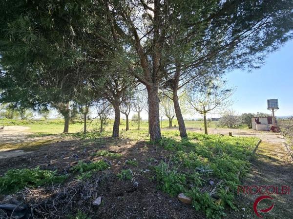 Terreno en camino de Carboneros