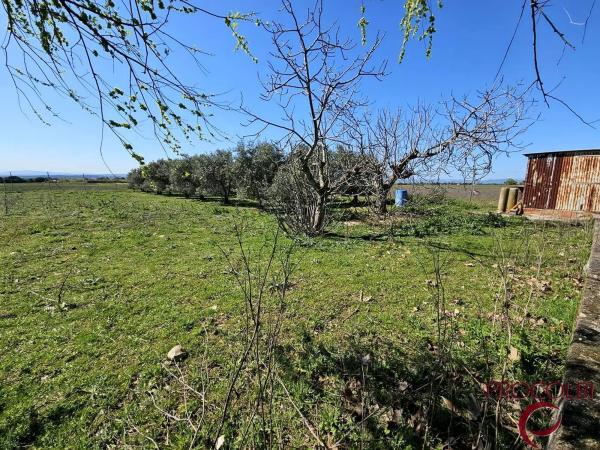 Terreno en camino de Carboneros