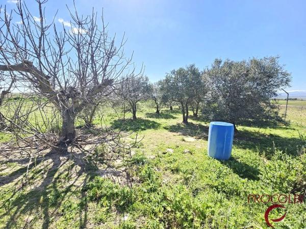 Terreno en camino de Carboneros