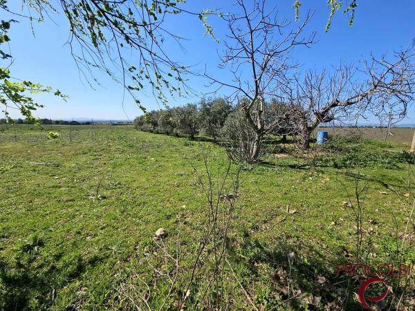 Terreno en camino de Carboneros