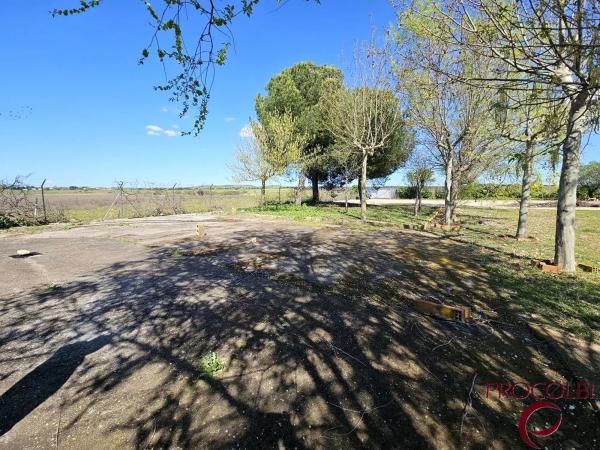 Terreno en camino de Carboneros