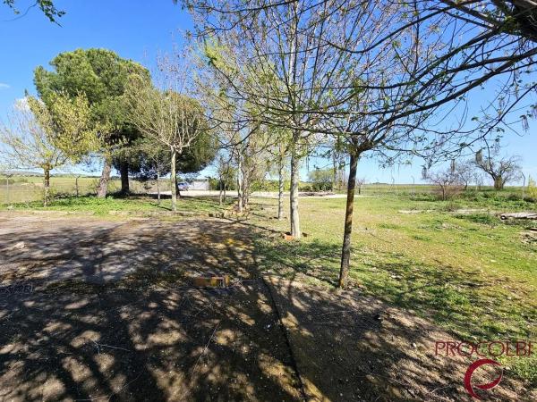 Terreno en camino de Carboneros