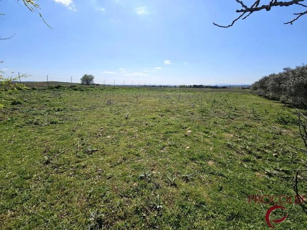 Terreno en camino de Carboneros