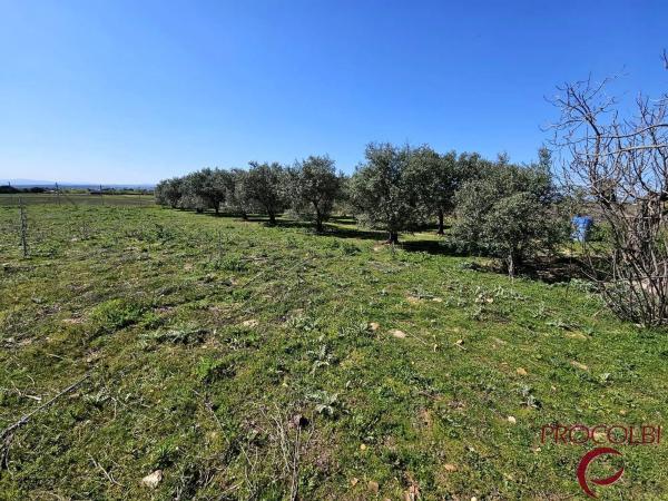 Terreno en camino de Carboneros