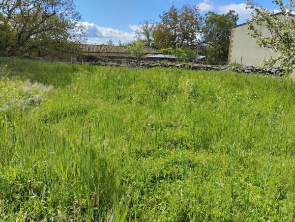 Terreno en calle de los Peligros, 22