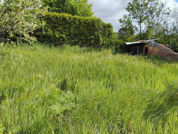 Terreno en calle de los Peligros, 22