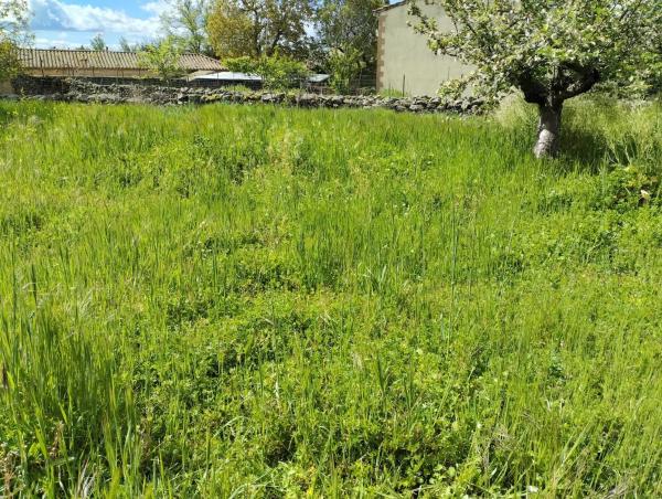 Terreno en calle de los Peligros, 22