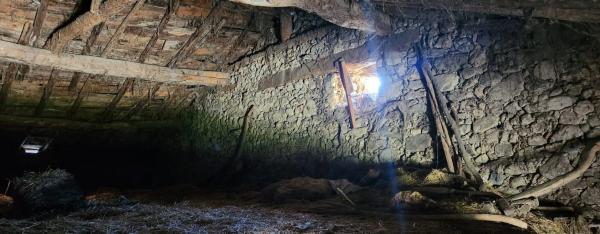 Terreno en calle de los Portales, 8