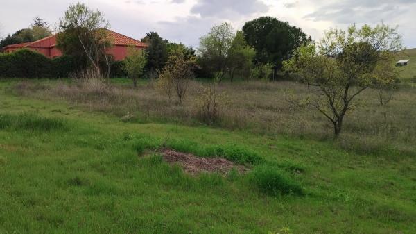 Terreno en calle León, 4