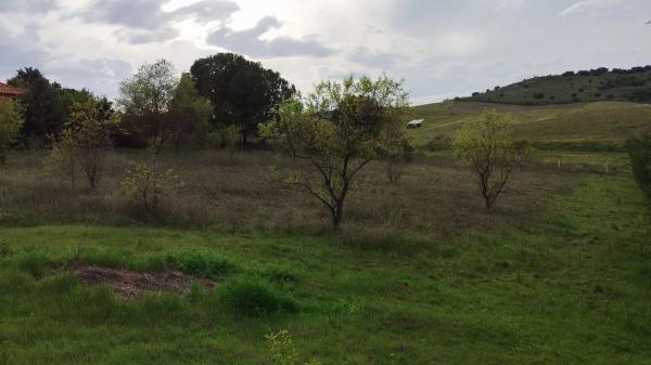 Terreno en calle León, 4
