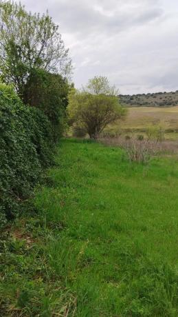 Terreno en calle León, 4
