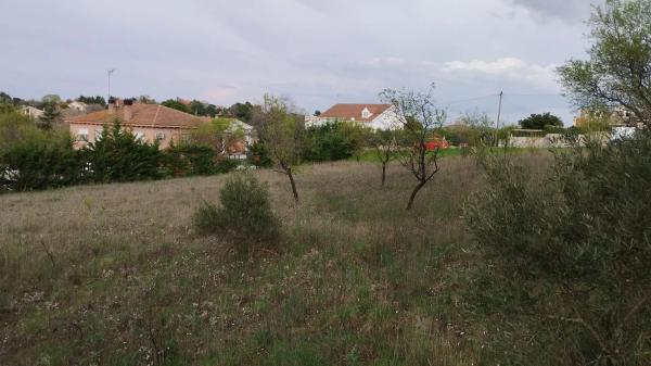 Terreno en calle León, 4