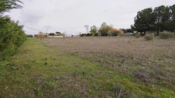 Terreno en calle León, 4
