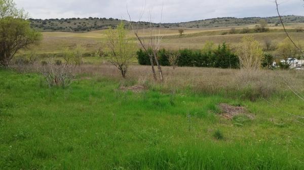 Terreno en calle León, 4