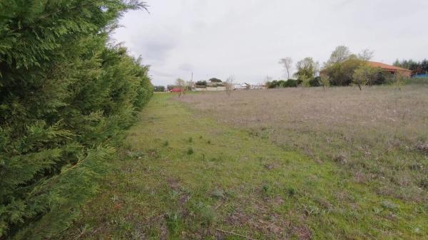 Terreno en calle León, 4