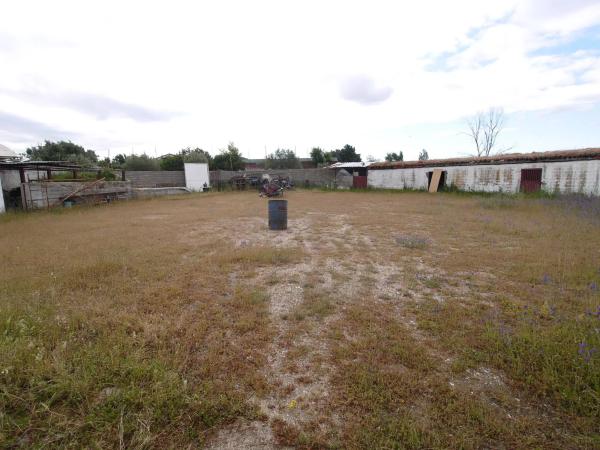 Terreno en El Olivar - La Magdalena