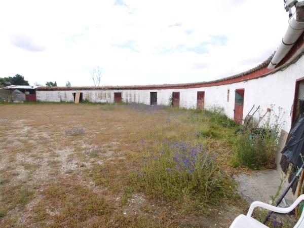 Terreno en El Olivar - La Magdalena