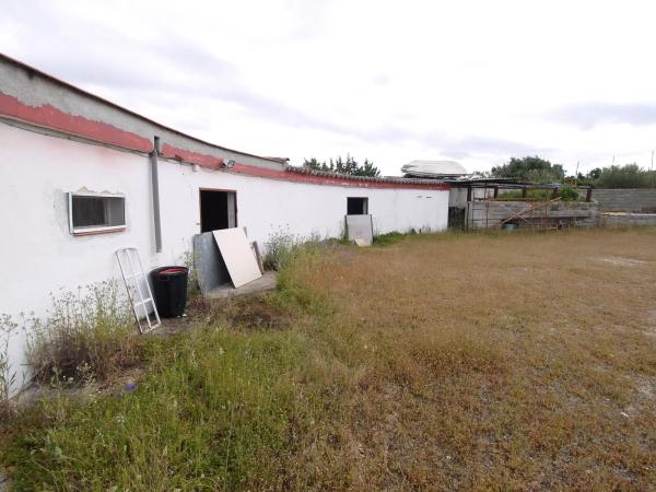 Terreno en El Olivar - La Magdalena