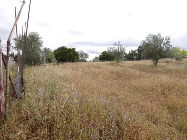 Terreno en El Olivar - La Magdalena
