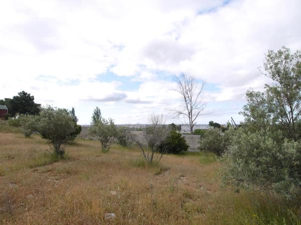 Terreno en El Olivar - La Magdalena