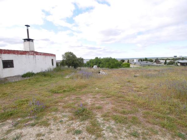 Terreno en El Olivar - La Magdalena