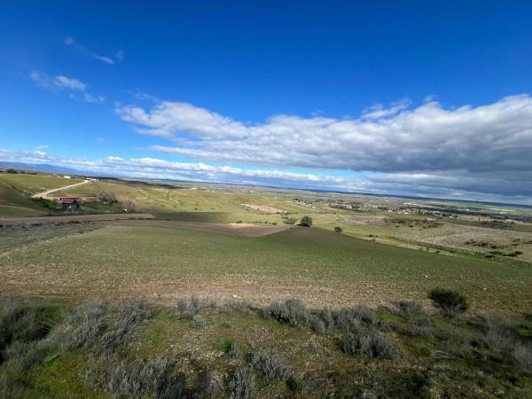 Terreno en calle Valdetorres, 86