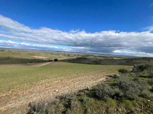 Terreno en calle Valdetorres, 86