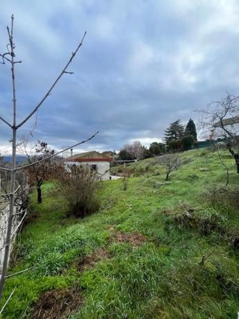 Terreno en calle Puentecesures s/n