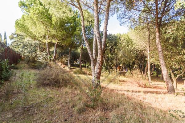 Terreno en La Moraleja urbanización