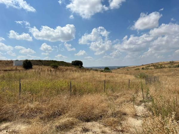 Terreno en Paraje Barranco el Zurdillo s/n