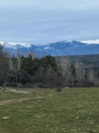Terreno en carretera de la Estación, 1
