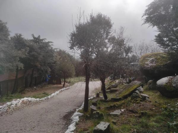Terreno en carretera de la Estación, 1