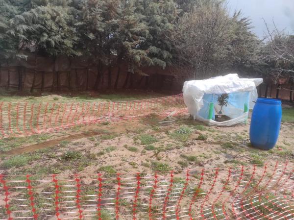 Terreno en carretera de la Estación, 1
