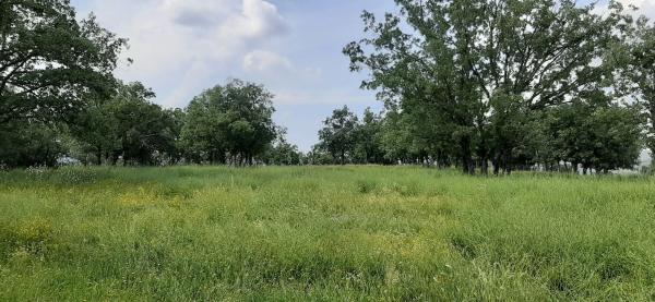 Terreno en Poligo 10, 72 Parcela