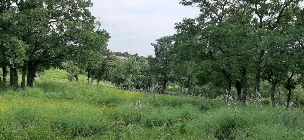 Terreno en Poligo 10, 72 Parcela