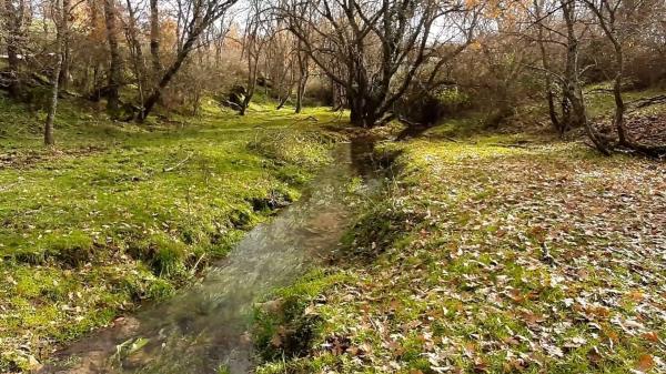 Terreno en Poligo 10, 72 Parcela