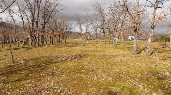 Terreno en Poligo 10, 72 Parcela